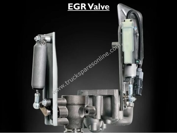 EGR Valve